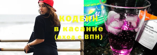 трава Медвежьегорск