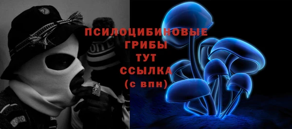 ГАЛЛЮЦИНОГЕННЫЕ ГРИБЫ Мегион