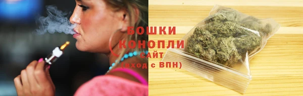 трава Медвежьегорск