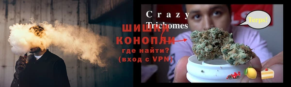 ECSTASY Долгопрудный