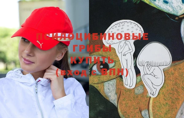 ГАЛЛЮЦИНОГЕННЫЕ ГРИБЫ Мегион