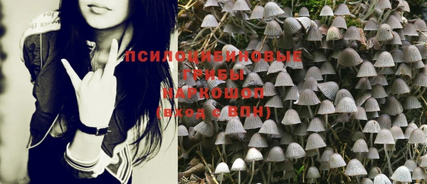 эйфоретик Медногорск