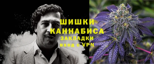 трава Медвежьегорск