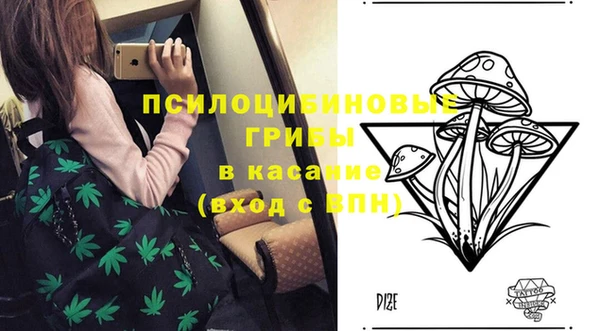 ГАЛЛЮЦИНОГЕННЫЕ ГРИБЫ Мегион