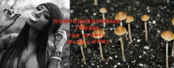 ГАЛЛЮЦИНОГЕННЫЕ ГРИБЫ Мегион