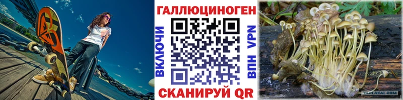 Псилоцибиновые грибы Psilocybe как найти закладки Шарыпово